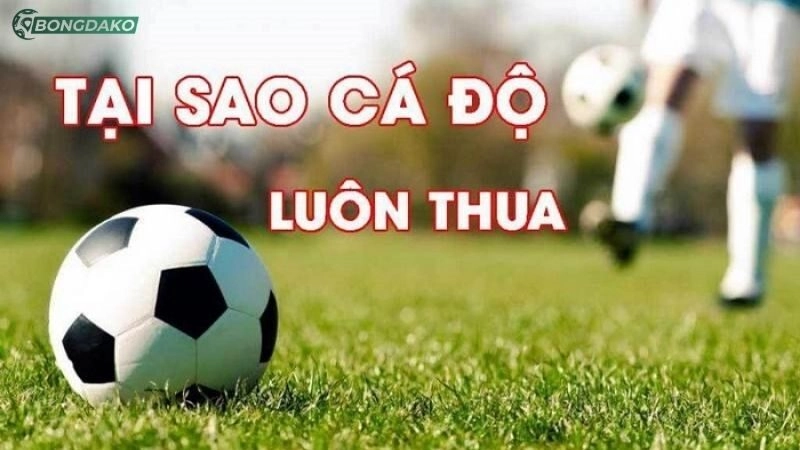 cá độ bóng đá luôn thua